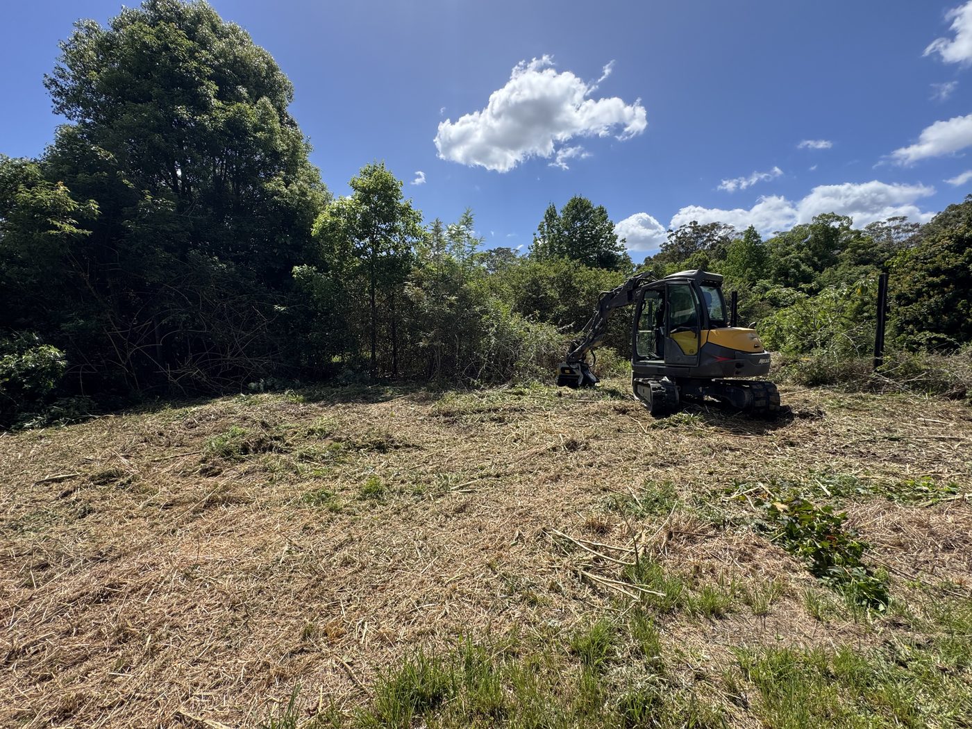 Scrub mulched back to a clean edge, Yarraman Rd, Bonville